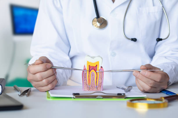Best Emergency Orthodontic Repairs in Portland, ME